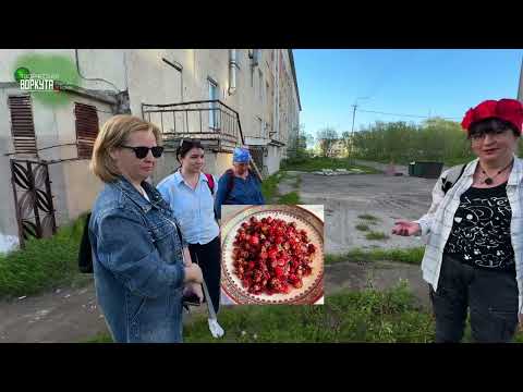 Видео: Воркута, эко-прогулка с Ириной Золочевской, часть 1