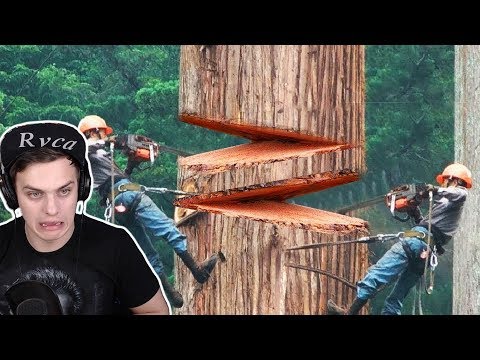 Видео: Bazya СМОТРИТ - Самые СМЕЛЫЕ и БЫСТРЫЕ РАБОТНИКИ в Мире