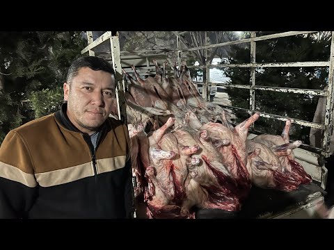 Видео: Этому рецепту рады Все Гости!Жареная Баранина по Узбекски!Мясо по Домашнему!!Узбекистан!