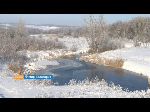Видео: «Сельский порядок». Алексеевка Корочанского района (30.01.2019)