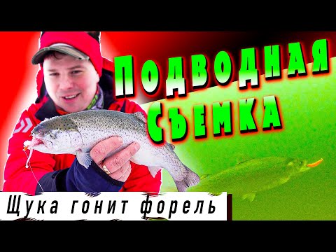 Видео: Ловля Форели | Зимняя Рыбалка | Платная Рыбалка | Рыбалка 2022