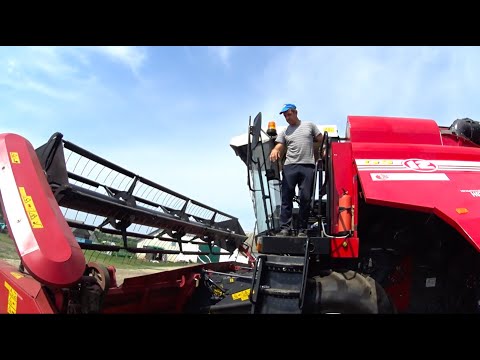 Видео: Правильная регулировка жатки ПРИ УБОРКЕ