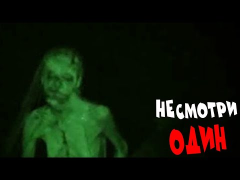 Видео: САМЫЕ ОПАСНЫЕ   ВСТРЕЧИ В ЛЕСУ СНЯТЫЕ НА КАМЕРУ #14