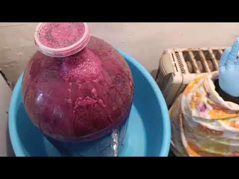 Видео: ПИТЬ ИЛИ НЕ ПИТЬ. РАЗГОВОРЫ О ВИНЕ