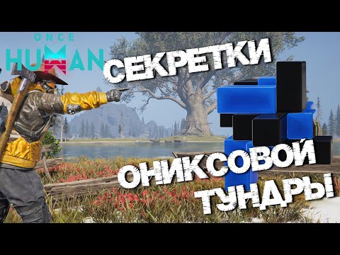 Видео: #101 Все секретки Ониксовой тундры в одном видео 🧐 ▷ Once Human