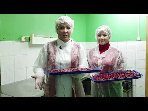 Видео: Клюква в сахарной пудре | Северная ягода | Как делают клюкву в сахарной пудре | Республика Коми
