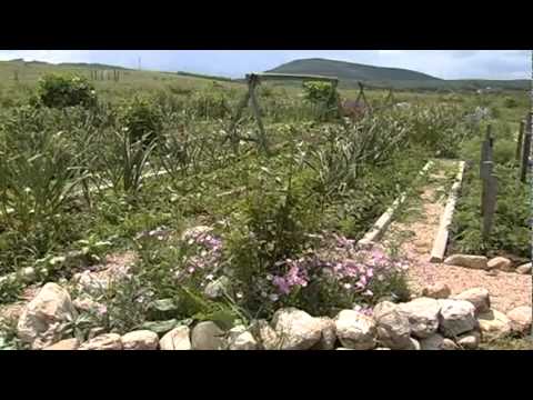 Видео: Поместье анастасийцев Павла и Елены Щербаковых