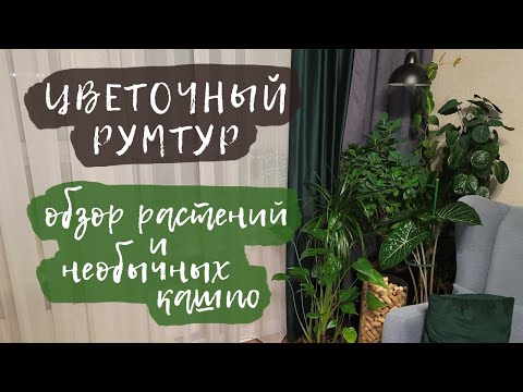 Видео: Цветочный румтур | Обзор растений и необычных кашпо