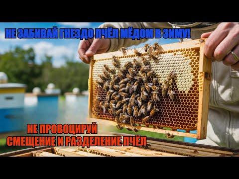 Видео: Почему ОЧЕНЬ ВАЖНО СОБРАТЬ ПЧЕЛИНОЕ ГНЕЗДО в ЗИМУ ИМЕННО ТАК не ЗАБИВАЙ ГНЕЗДО ЧРЕЗМЕРНО МЁДОМ ☝️🐝🐝