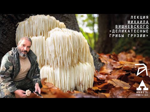 Видео: Михаил Вишневский: Деликатесные грибы Грузии
