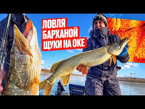 Видео: ЛОВЛЯ БАРХАНОЙ ЩУКИ НА ОКЕ! ТРОФЕЙНАЯ РЫБАЛКА!