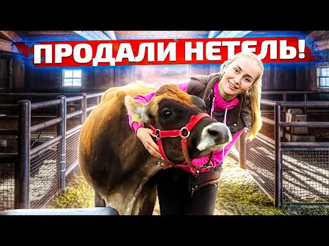 Видео: Новости Молодой фермы. Трудимся всей семьей! Молодая Ферма