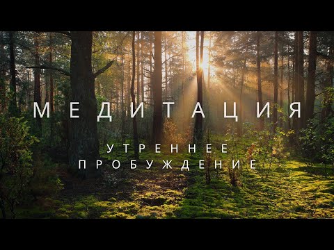 Видео: 🎧 Медитация ПРОБУЖДЕНИЯ! Твой идеальный день начинается сейчас | Энергия, любовь и ясность