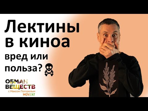 Видео: Киноа: есть или не есть, что говорит наука?