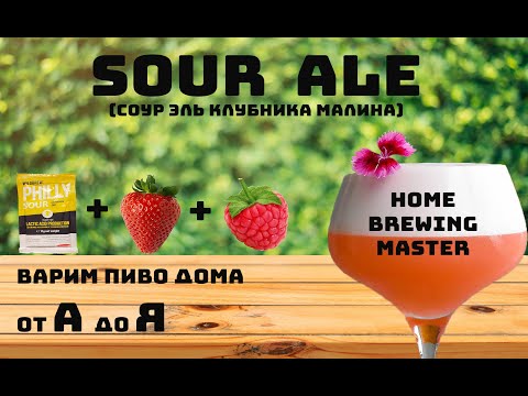 Видео: Соур Эль Клубника Малина. Sour Ale. Варим пиво дома.
