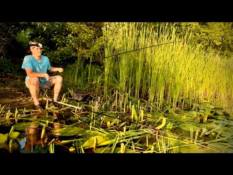 Видео: РИБАЛКА на КАРАСЯ ловлю на ПОПЛАВОК в КУВШИКЕ 🍀!!! Зробив місце для рибалки!