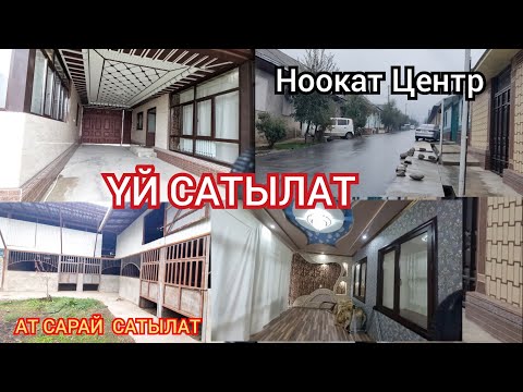 Видео: Ноокат  Центрден арзан баада  Үй Ат  Сарай  Сатууга Чыкты