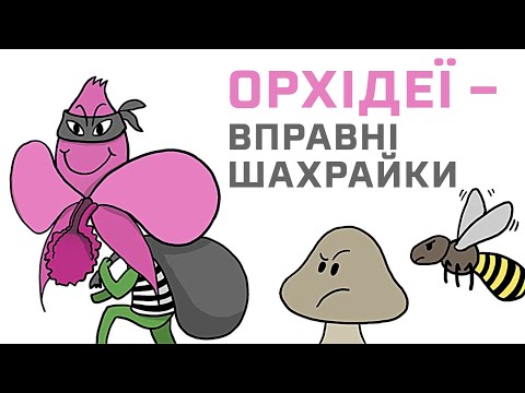 Видео: Чому орхідеї обманюють, шахраюють та крадуть? [MinuteEarth]