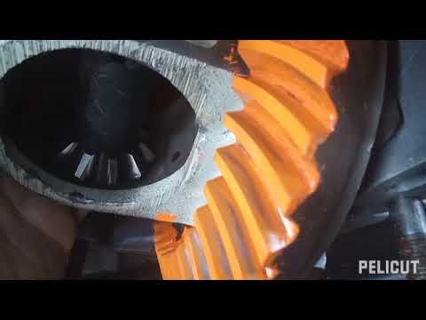 Видео: 4 марта 2025 г. Пятно контакта г.п. в  КПП Москвич -2141