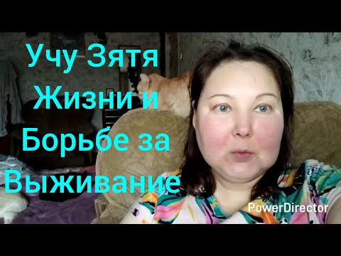 Видео: У зятя Влада ужасная судьба .Что ждёт его в будущем, если не поумнеет.
