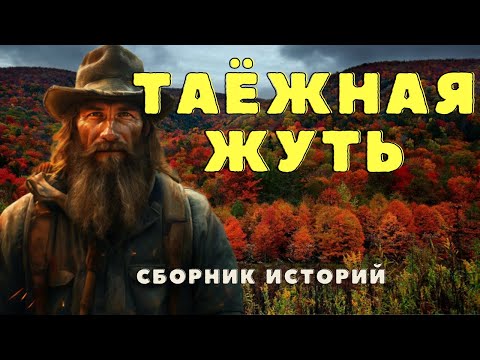 Видео: Истории таёжных охотников/Охотничьи байки/Страшные истории