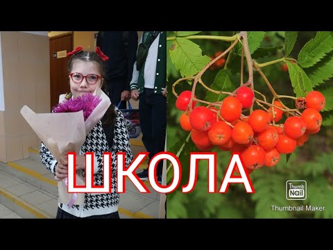 Видео: ШКОЛА