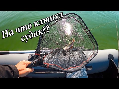 Видео: СУДАК С ЛОДКИ на Воронежском водохранилище! Продолжаем обкатку мотора HANGKAI 6 ЛС. Часть 2.