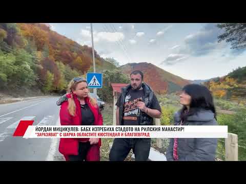Видео: ЙОРДАН МИЦИКУЛЕВ: БАБХ ИЗТРЕБИХА СТАДОТО НА РИЛСКИЯ МАНАСТИР!