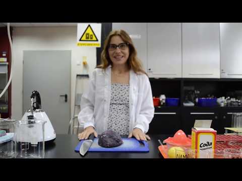 Видео: Капуста - универсальный индикатор!