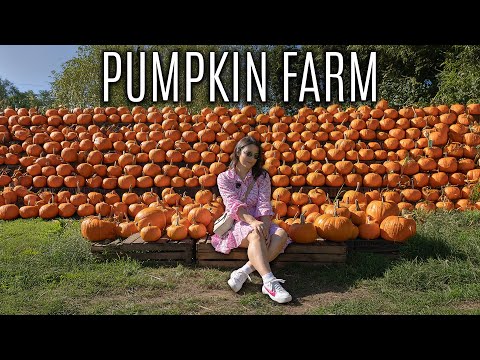 Видео:  VLOG: День с осенним настроением: тыквы, природа и вкусный ужин 🧶🎃￼🛍️
