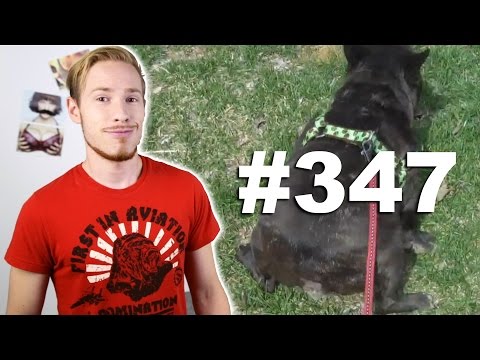 Видео: This is Хорошо - Глобальное потепление! АЗАЗАЗАЗАЗА