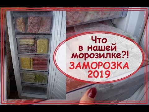 Видео: Заморозка овощей и фруктов 2019. Что у нас в морозильной камере?! Насушили на компоты))