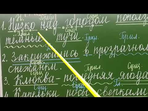 Видео: Разбор предложения ( практика).           3 класс