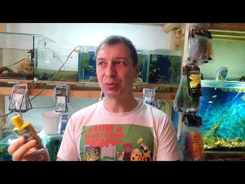 Видео: Быстрый запуск аквариума. Хочу здесь и сейчас!!!