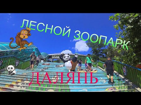 Видео: #ИЗЮМИНКА г.ДАЛЯНЬ #ЛЕСНОЙ ЗООПАРК