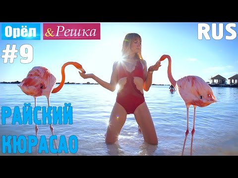 Видео: #9 Райский Кюрасао. Орёл и Решка. Рай и Ад. RUS