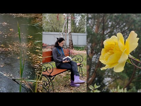 Видео: осенний книжный влог | Кио Маклир, Оксана Васякина и звуки природы