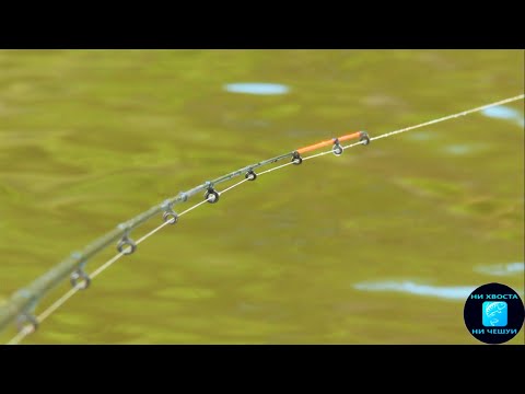 Видео: РЫБАЛКА НА ФИДЕР и ДОНКУ! ЛОВЛЯ ЛЕЩА в июле