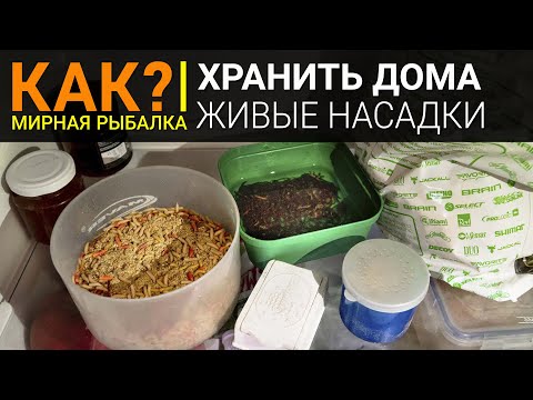 Видео: Как хранить червя, опарыша, мотыля и пинку дома? Наживки для рыбалки.