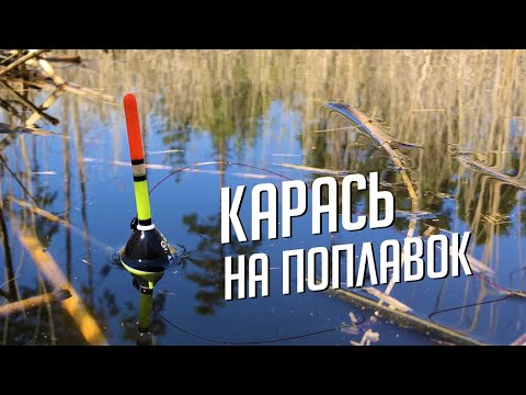 Видео: Ловля карасів на поплавок з берега. Рибалка в чудовому місці.