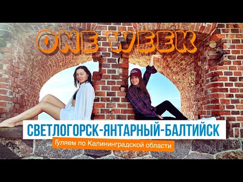 Видео: Светлогорск - Янтарный - Балтийск