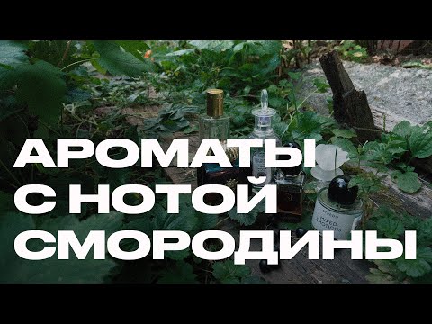 Видео: 5 ароматов с нотой смородины, которые пахнут дорого и утончённо