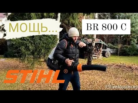 Видео: Воздуходувка STIHL BR 800 С
