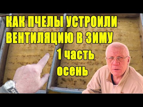 Видео: Утепление и вентиляция ульев на зиму. Как пчелы устраивают вентиляцию в улье 1-я часть.