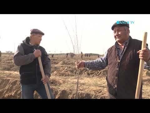 Видео: 15.02.2025. ЖЕТІСАЙ АУДАНЫ.  АУЫЛ АЙМАҚ. ҮТІРТӨБЕЛІКТЕР ӨЗГЕГЕ ҮЛГІ. КӨШЕТ ОТЫРҒЫЗДЫ.