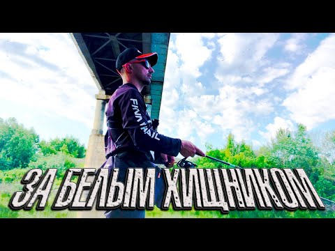Видео: РЫБАЛКА НА ГОЛАВЛЯ, ПРИЕХАЛ В ЛЮБИМЫЕ МЕСТА, МНОГО ПОКЛЕВОК, СТРАШНАЯ ЖАРА, КАПРИЗНАЯ РЫБА.