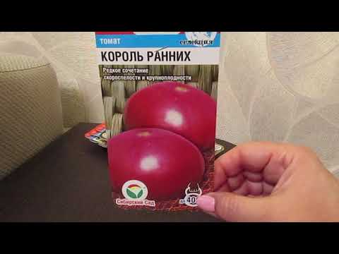 Видео: Очень вкусные сортовые среднерослые и  высокорослые томаты.
