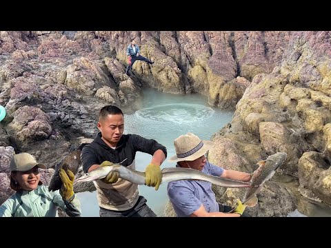 Видео: Бросьте секретную приманку в водоем, чтобы собрать угрей, морских окуней и улиток.