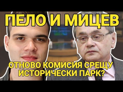 Видео: Маргарит Мицев и Пело: Комисия срещу Ивелин Михайлов - опит за контрол или търсене на истината