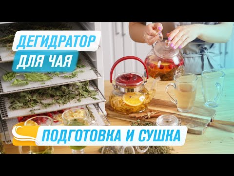Видео: ЧАЙ В ДЕГИДРАТОРЕ |  РЕЦЕПТ МАРОККАНСКИЙ И ВИТАМИННЫЙ ЧАЙ В ДЕГИДРАТОРЕ RAWMID Modern RMD-10